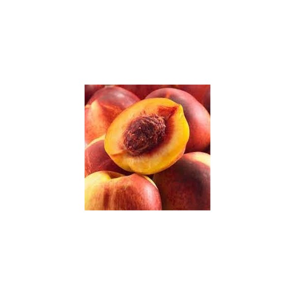 NECTARINES