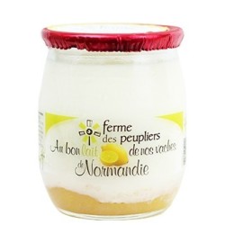 2 YAOURTS CITRON