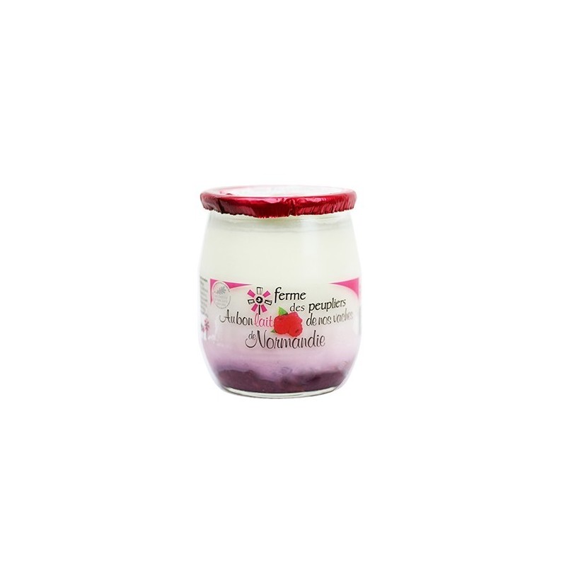 2 YAOURTS FRAMBOISE