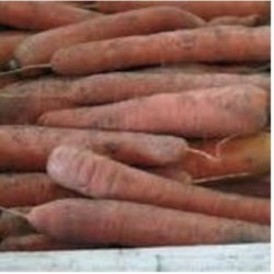 CAROTTES