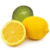 4 CITRONS