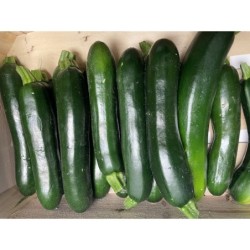 COURGETTES
