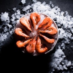 CREVETTES ROSES 500 GRS