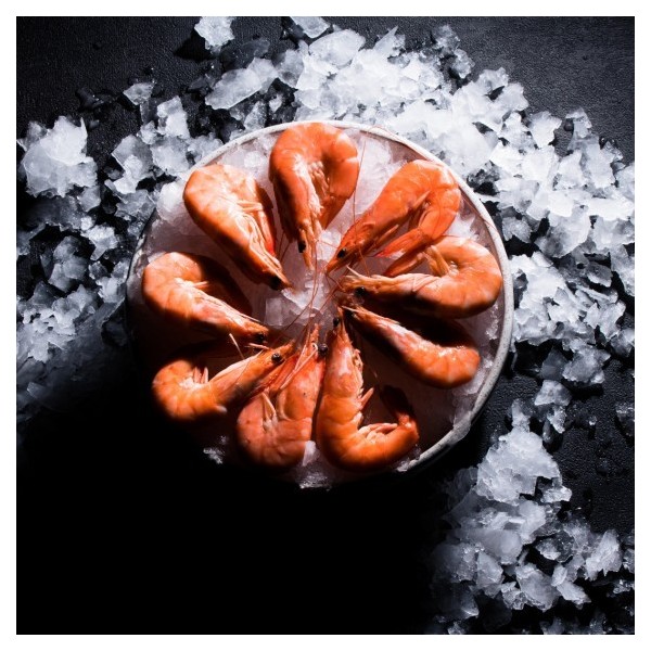 CREVETTES ROSES 500 GRS