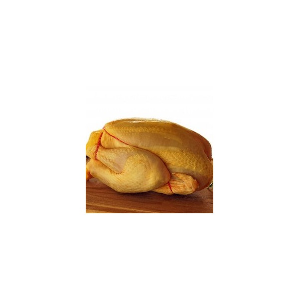 POULET JAUNE 1,6 à 1,8 kg