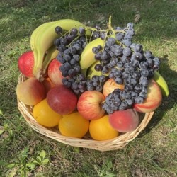 CORBEILLE DE FRUITS 4/5 PERSONNES