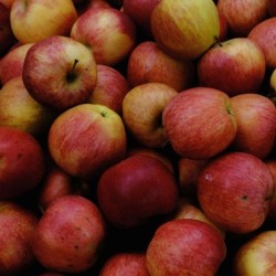 Pommes BIO