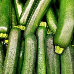 Courgettes