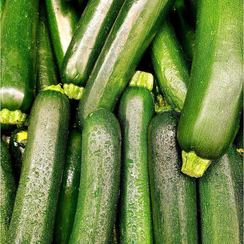 Courgettes