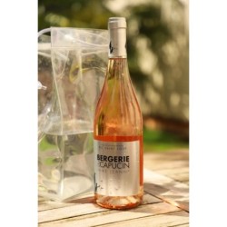 PIC SAINT LOUP - DAME JEANNE