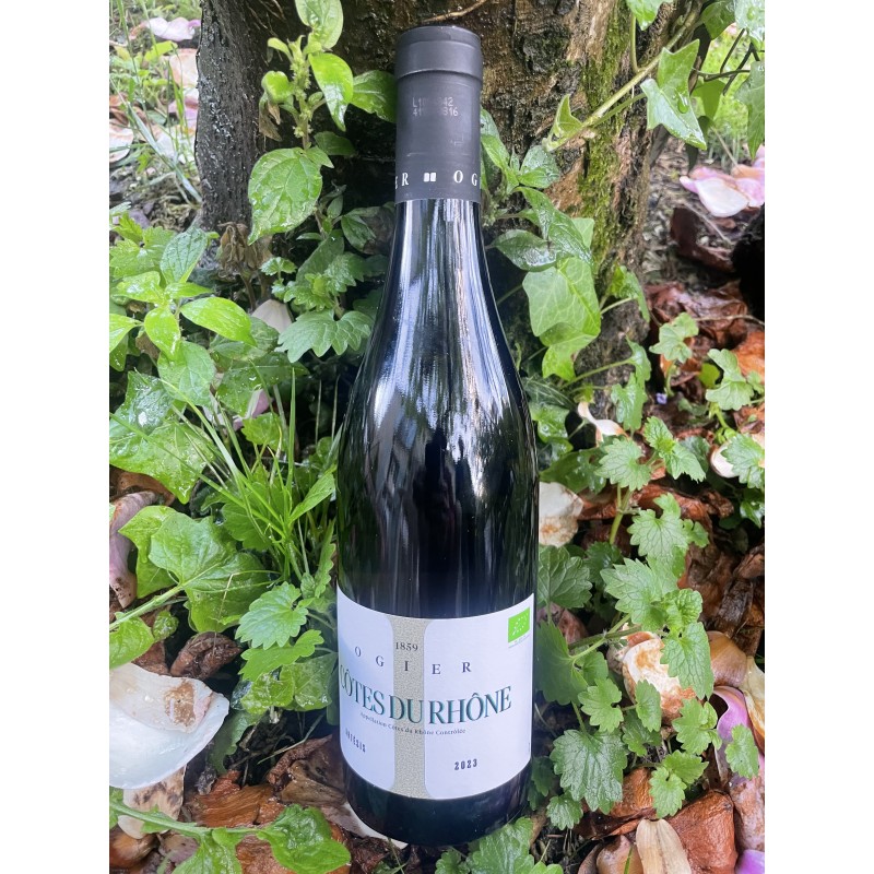COTE DU RHONE BLANC COTE DU RHONE BLANC
