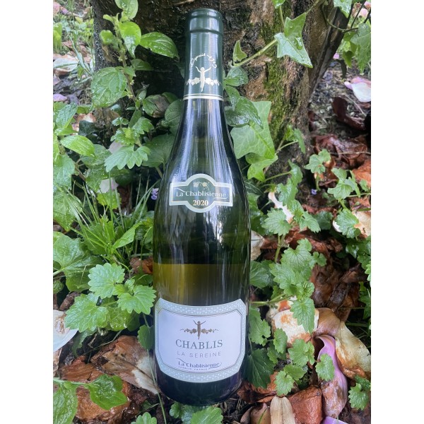 CHABLIS - LA SEREINE
