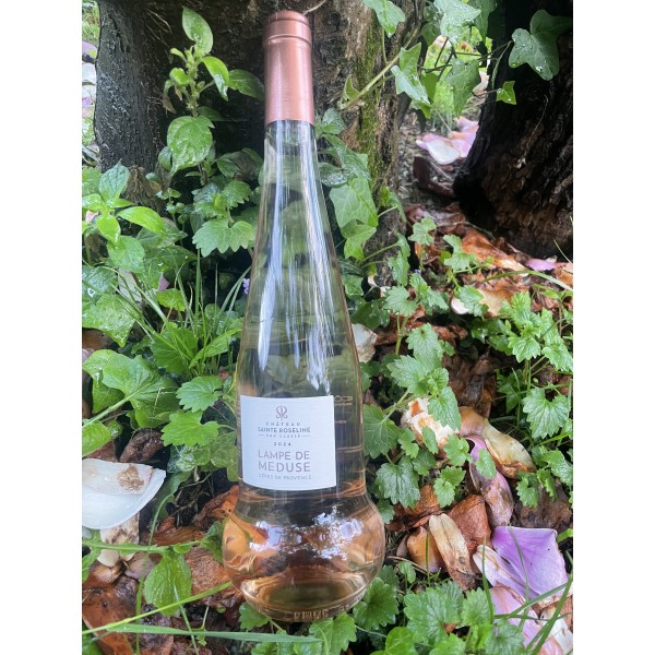 LAMPE DE MEDUSE