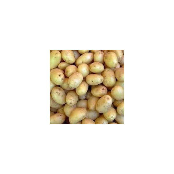 POMME DE TERRE GRENAILLE