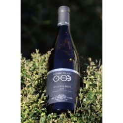 VIOGNIER - LES LOGNARDS - CHAPOUTIER