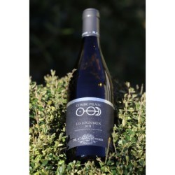 VIOGNIER - LES LOGNARDS - CHAPOUTIER