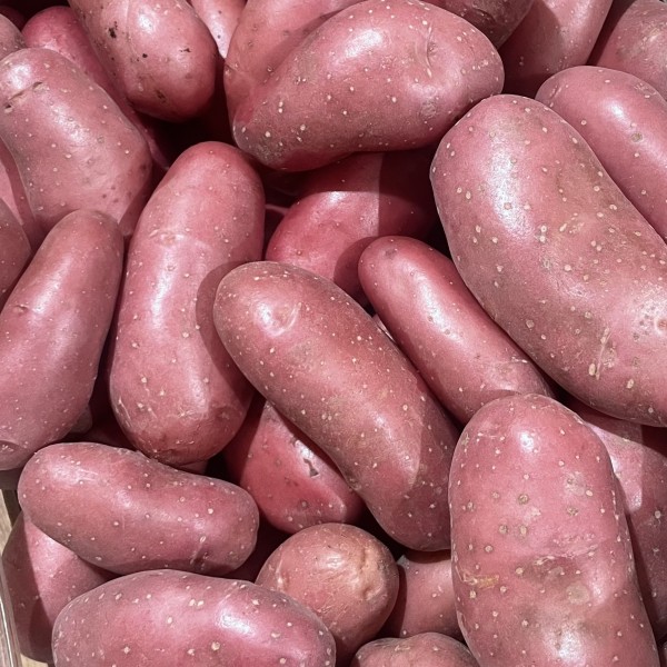 POMMES DE TERRE CHERRIE (1KG)