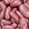 POMMES DE TERRE CHERRIE (1KG)