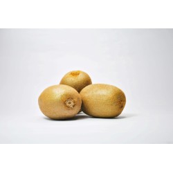 6 Kiwis