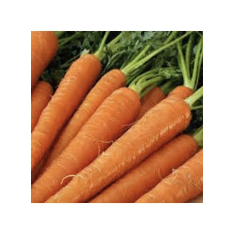 CAROTTES LAVEES (1kg)