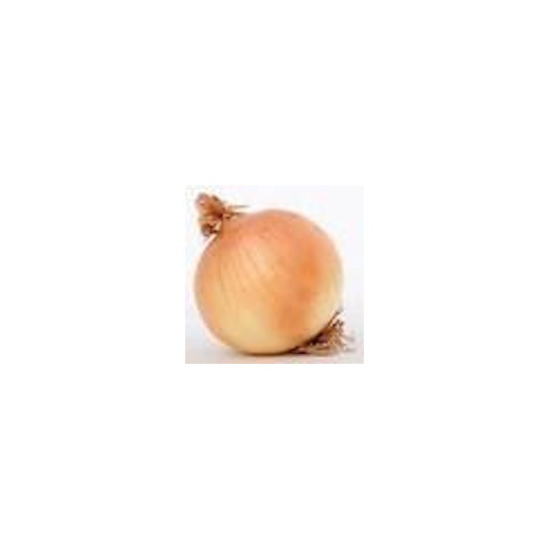 OIGNONS (800 GRS)