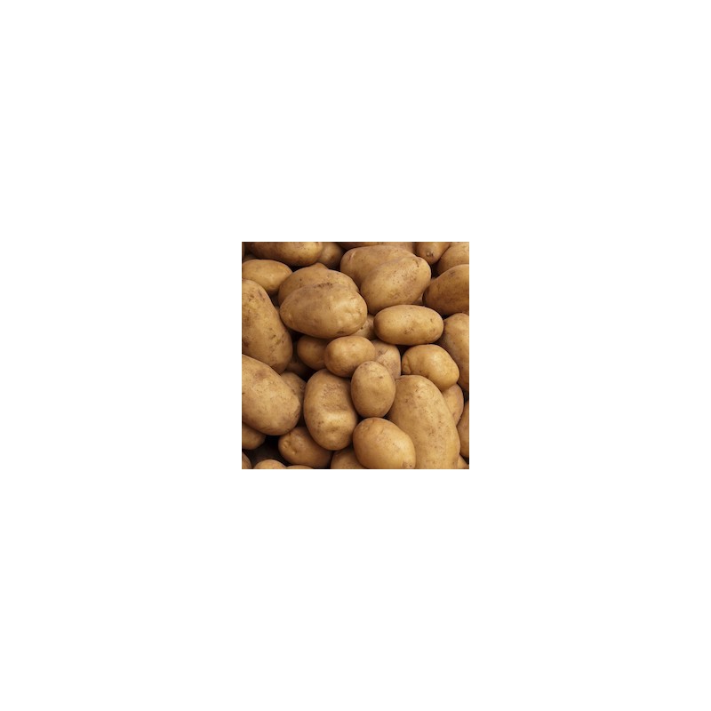 POMMES DE TERRE MONALISA (1KG)