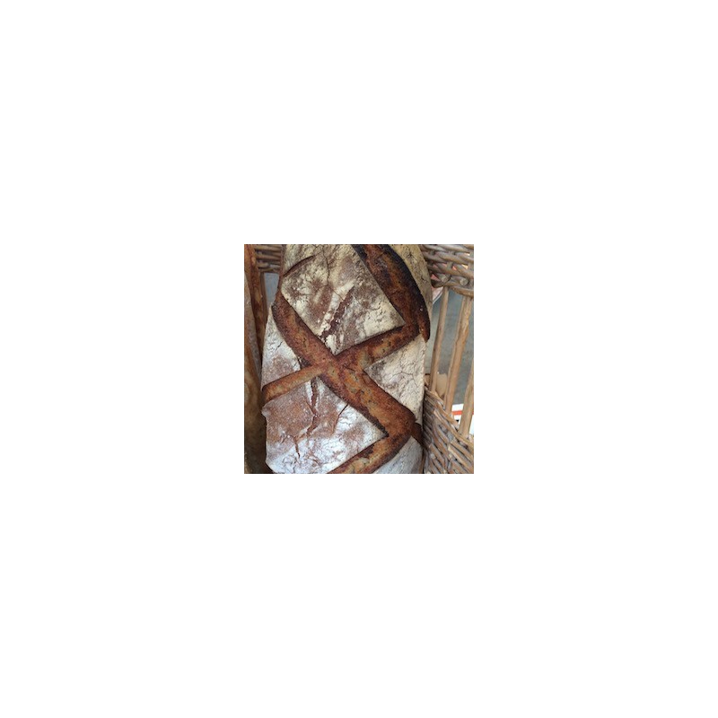 GRAND PAIN LEVAIN BIO