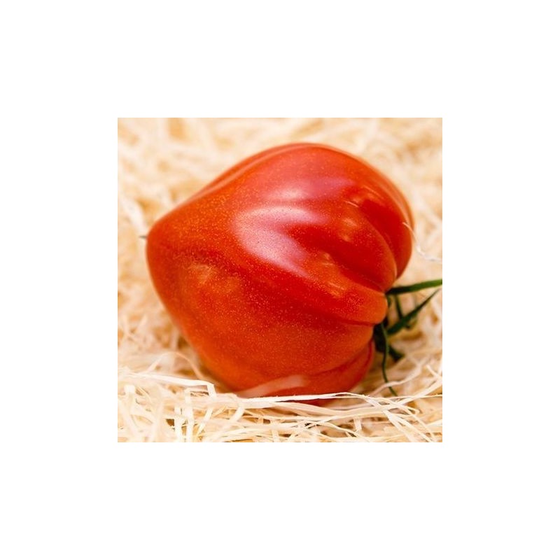 TOMATES COEUR COTELÉES