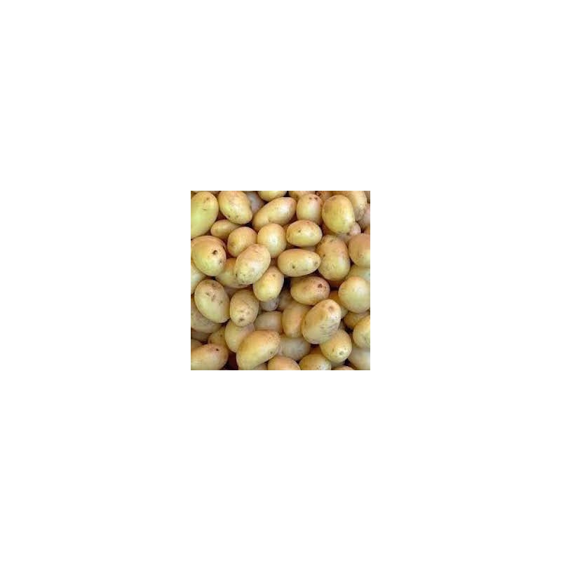 POMME DE TERRE GRENAILLE