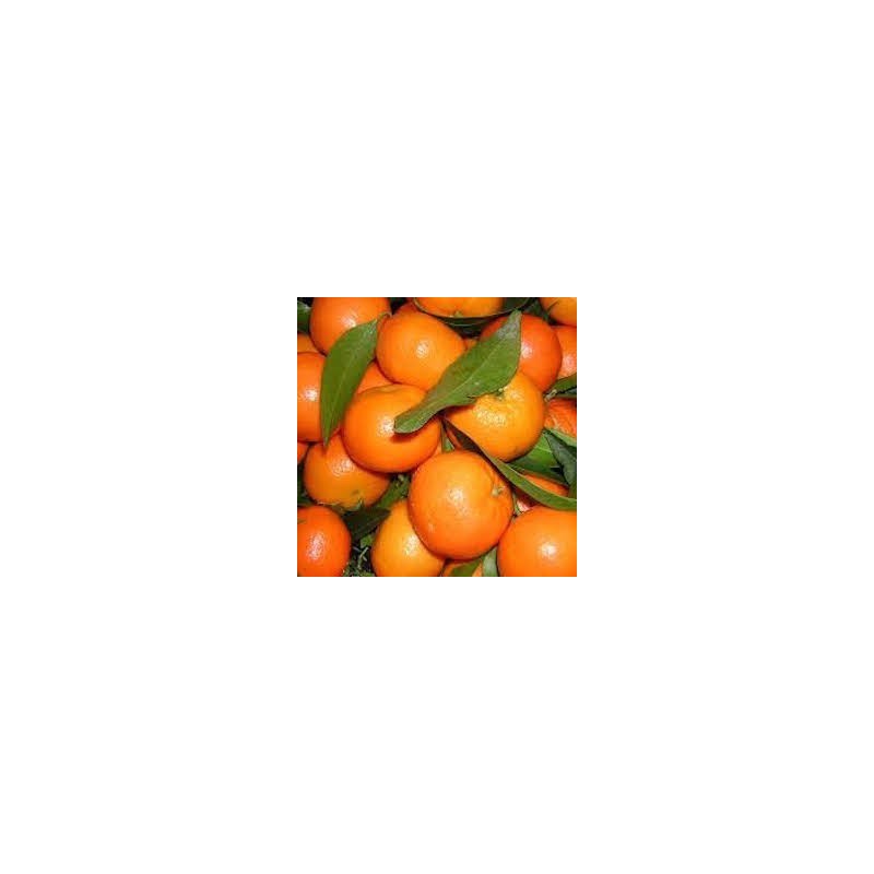 CLEMENTINES