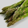ASPERGES VERTES 500 GRS