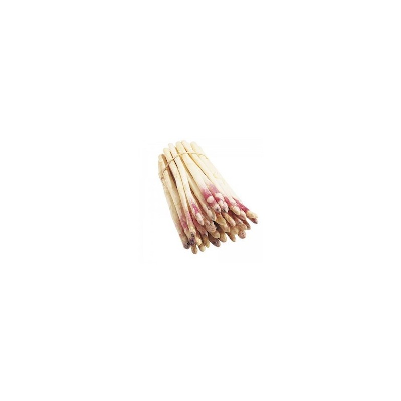 ASPERGES VIOLETTES OU BLANCHES 500 grs