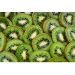 6 Kiwis