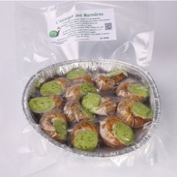 12 ESCARGOTS EN COQUILLE*