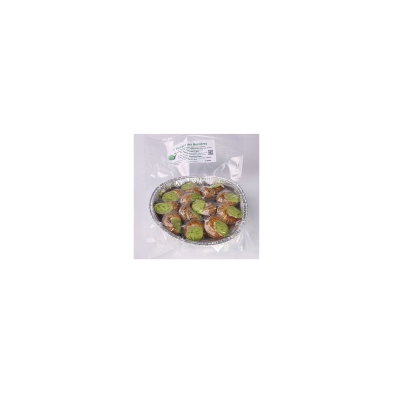 12 ESCARGOTS EN COQUILLE*