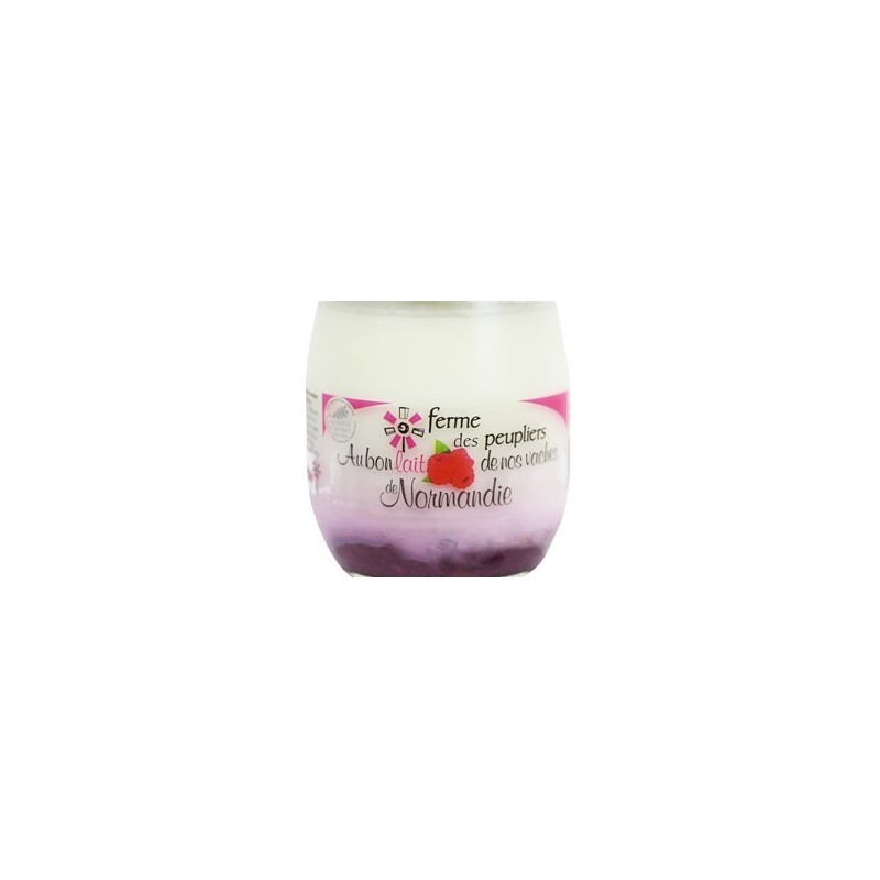 2 YAOURTS FRAMBOISE