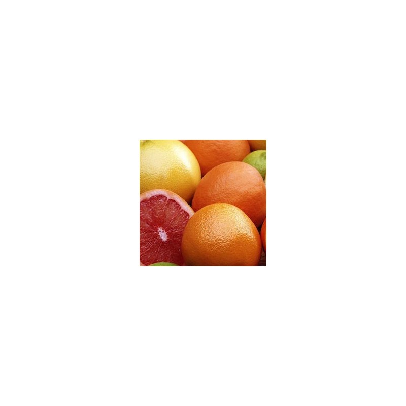PANIER AGRUMES