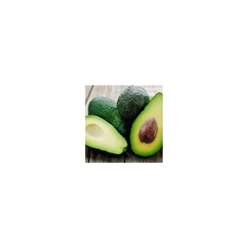 AVOCAT