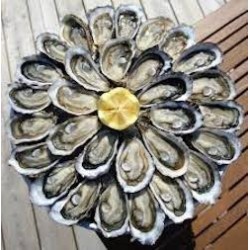 4 DOUZAINES D'HUITRES N°2*
