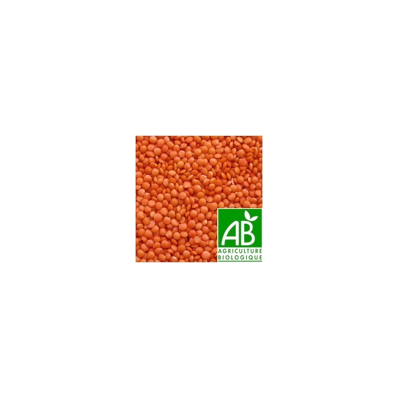 LENTILLE CORAIL BIO