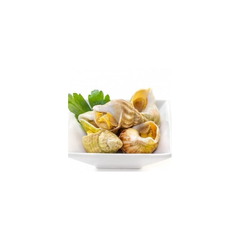 BULOTS CUITS 500 grs