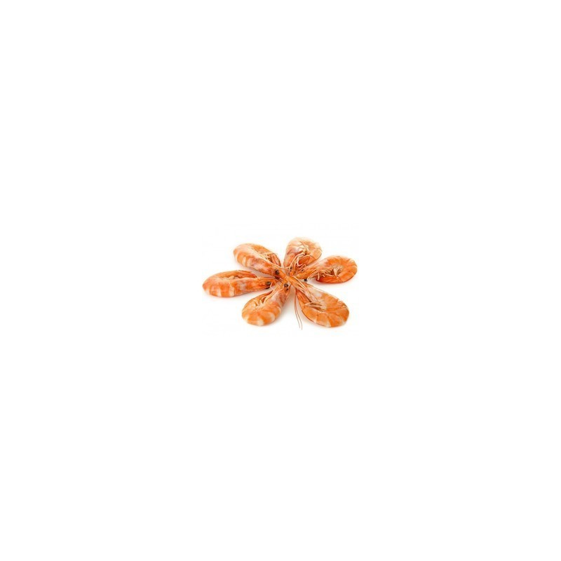 CREVETTES ROSES 500 GRS