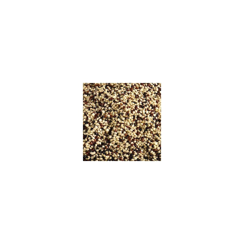 QUINOA TRICOLORE BIO