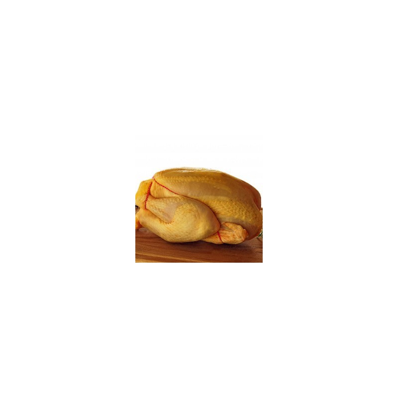 POULET JAUNE 1,6 à 1,8 kg