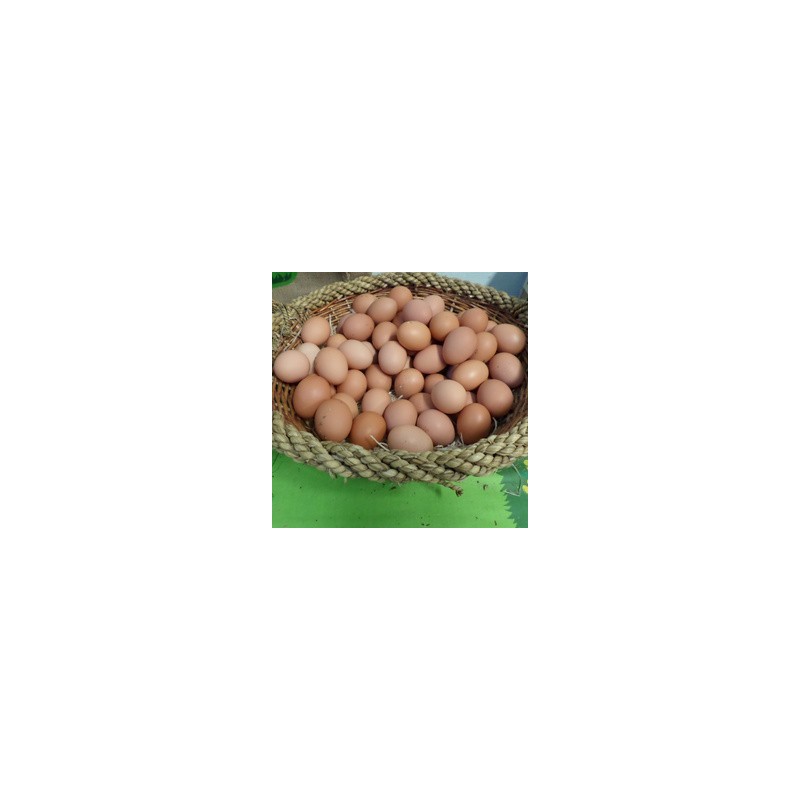 6 OEUFS FERMIERS