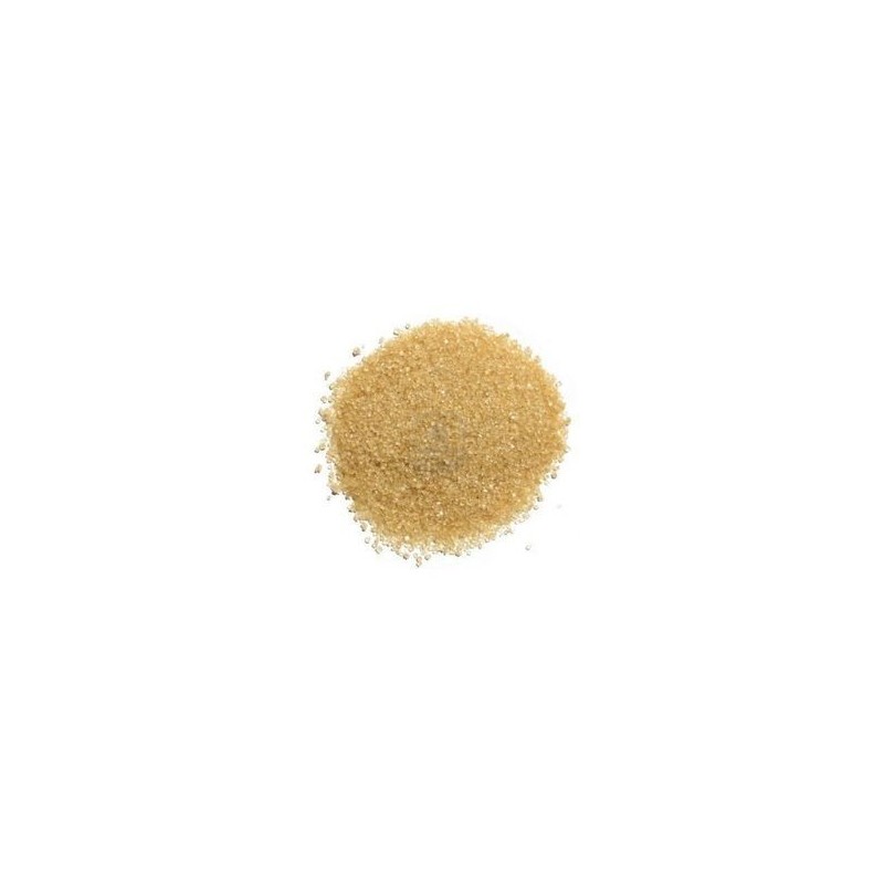 SUCRE PUR CANNE ROUX BIO 500 grs