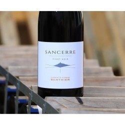 SANCERRE ROUGE 2022