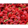 FRAISES  (500 GRS)