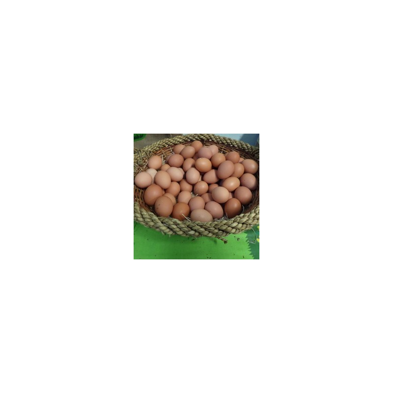12 OEUFS