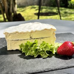 DEMI BRILLAT À LA TRUFFE